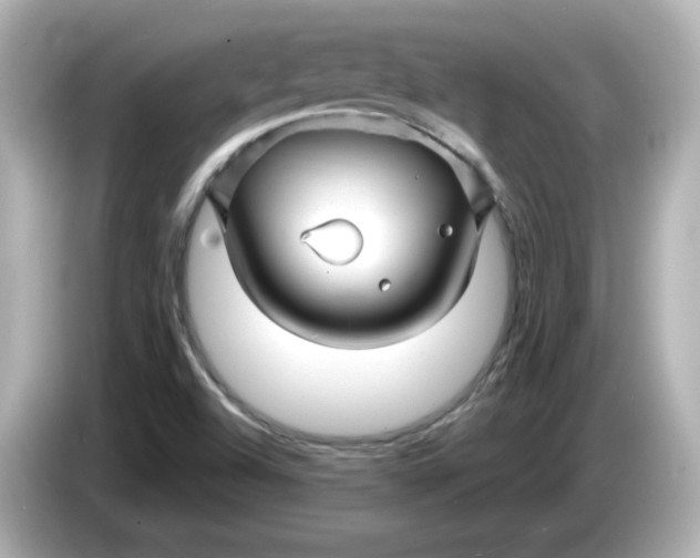 X0000086021504200704091104