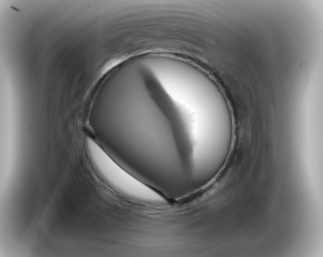 X0000086021505200704091104