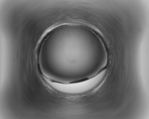 X0000086021506200704091104