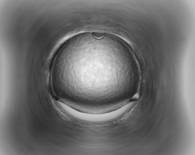 X0000086021507200704091104