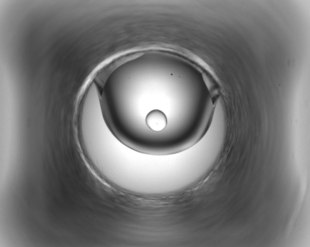 X0000086021508200704091104