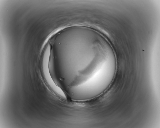 X0000086021509200704091104