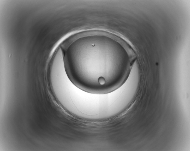 X0000086021510200704091104