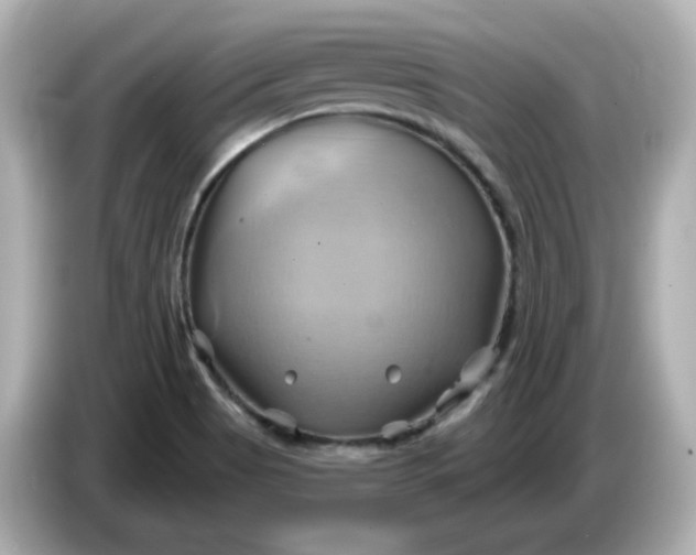 X0000086021513200704091104