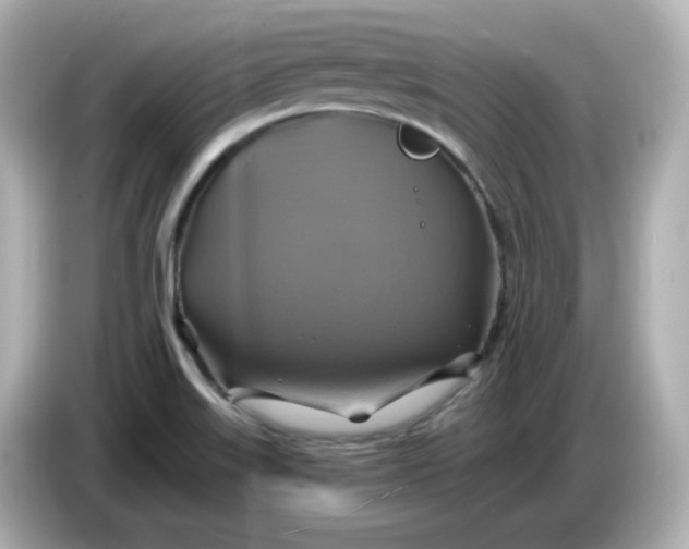 X0000086021515200704091104