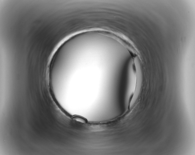 X0000086021516200704091104