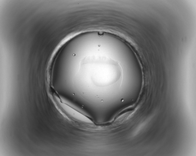 X0000086021517200704091104