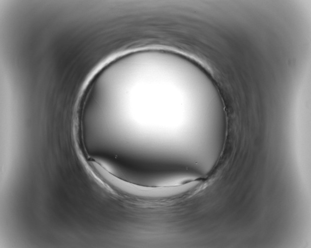 X0000086021518200704091104
