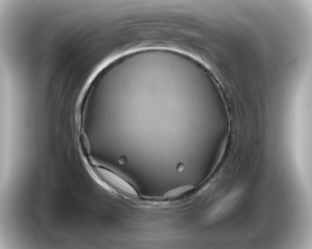 X0000086021519200704091104