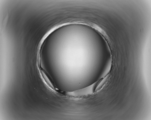 X0000086021520200704091104