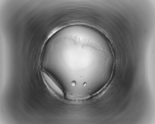 X0000086021521200704091104