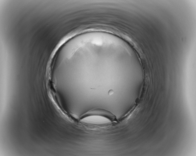 X0000086021522200704091104