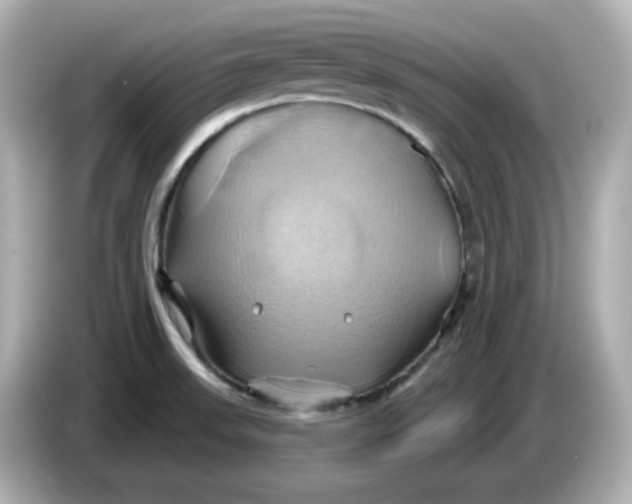 X0000086021523200704091104
