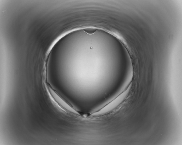 X0000086021524200704091104