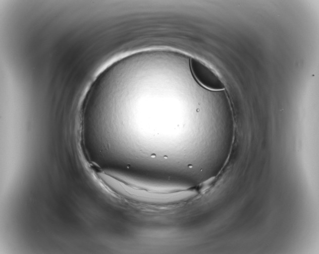 X0000086021526200704091104