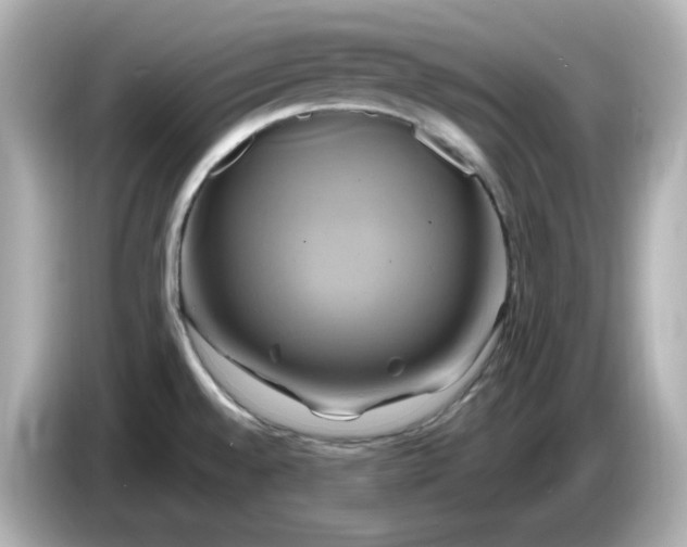 X0000086021528200704091104