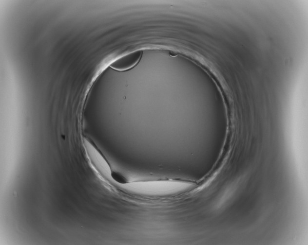 X0000086021529200704091104