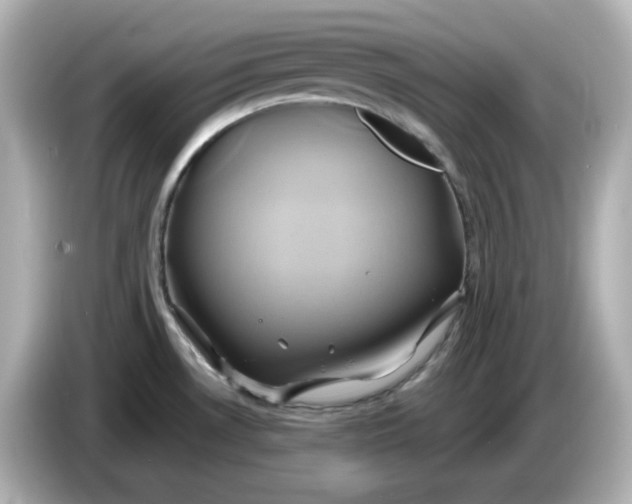 X0000086021530200704091104