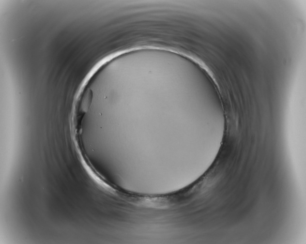 X0000086021531200704091104