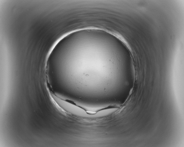 X0000086021532200704091104