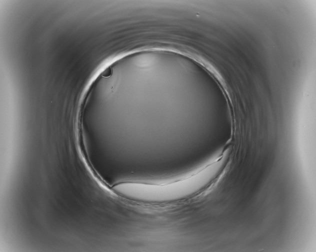 X0000086021533200704091104
