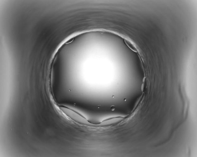 X0000086021534200704091104
