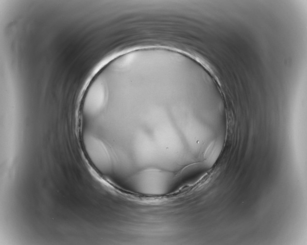 X0000086021535200704091104