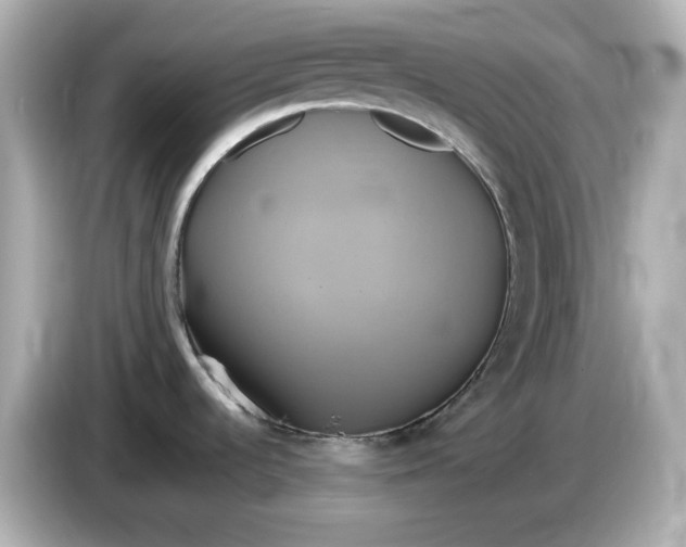 X0000086021536200704091104