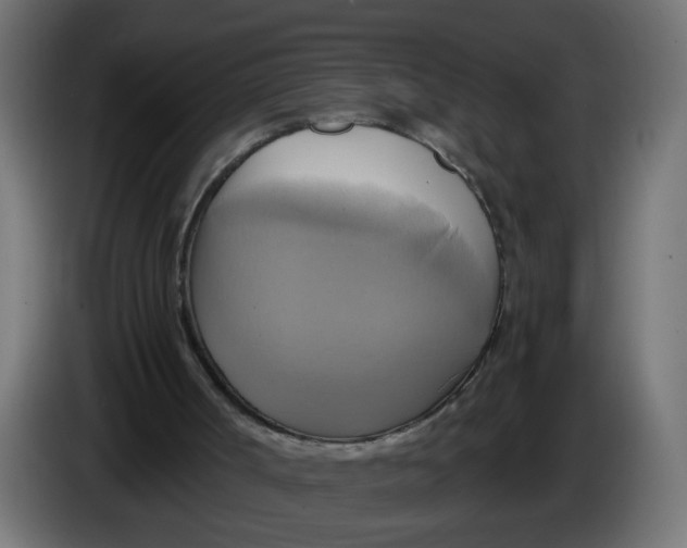 X0000086020002200704131900