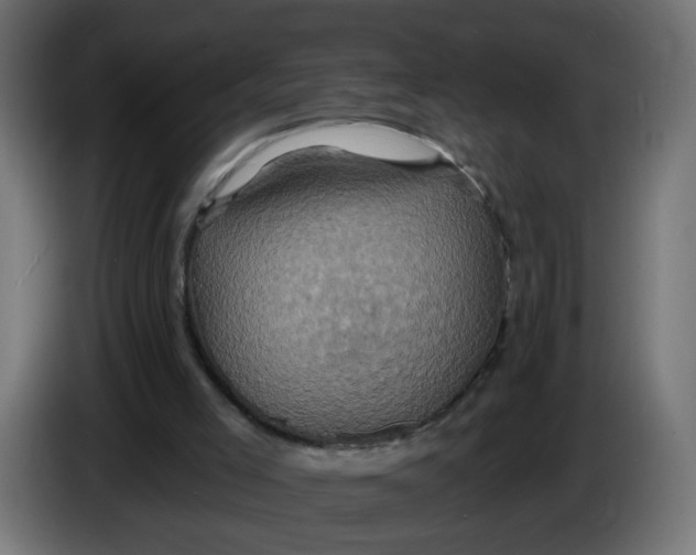 X0000086020005200704131900