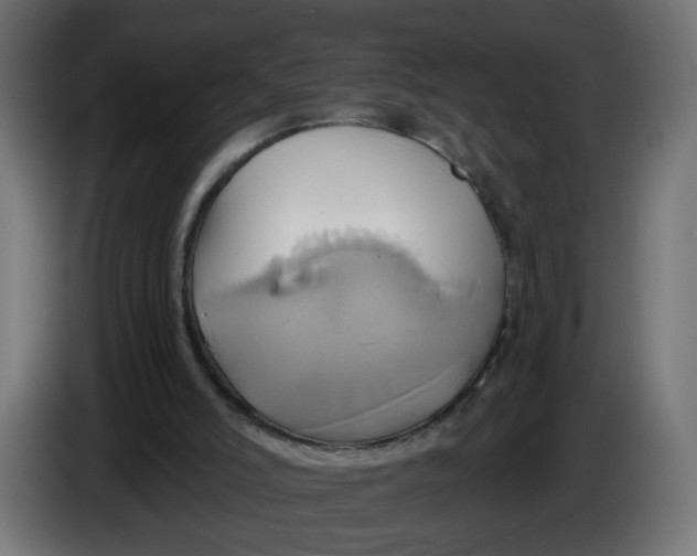 X0000086020006200704131900