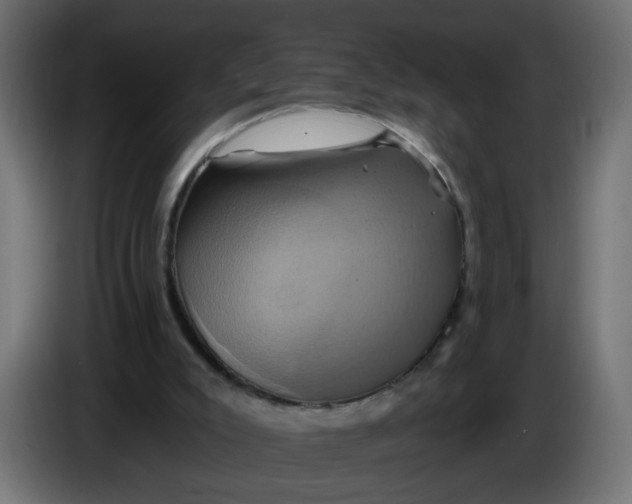 X0000086020007200704131900