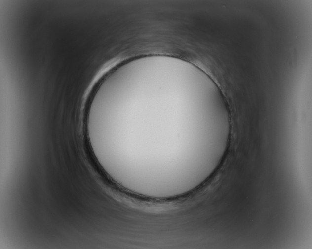 X0000086020008200704131900