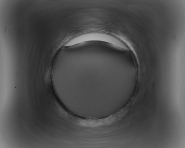 X0000086020009200704131900