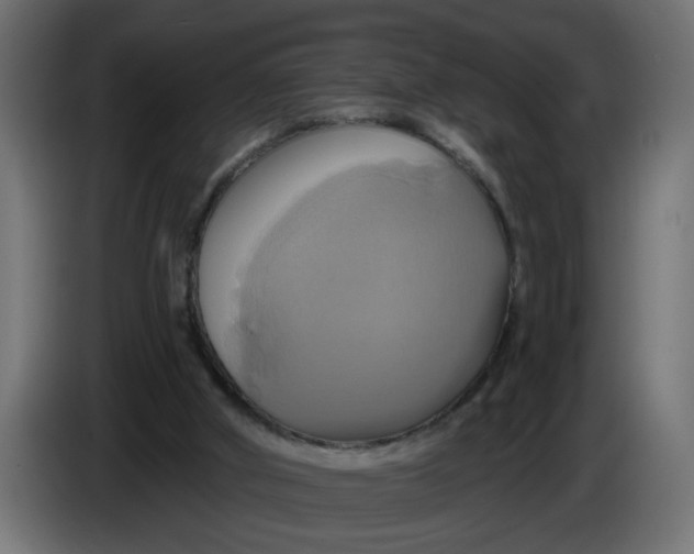 X0000086020010200704131900