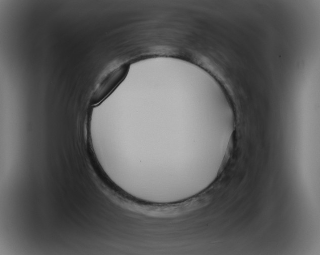 X0000086020011200704131900