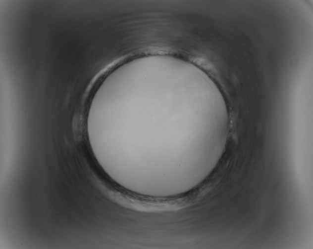 X0000086020012200704131900
