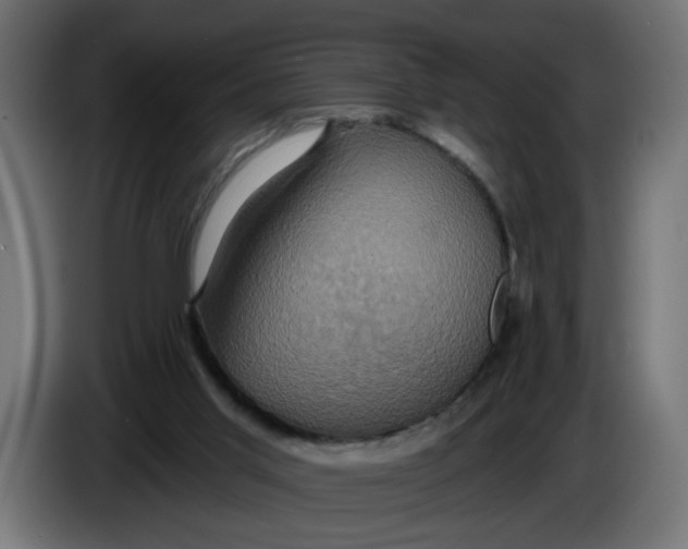 X0000086020013200704131900