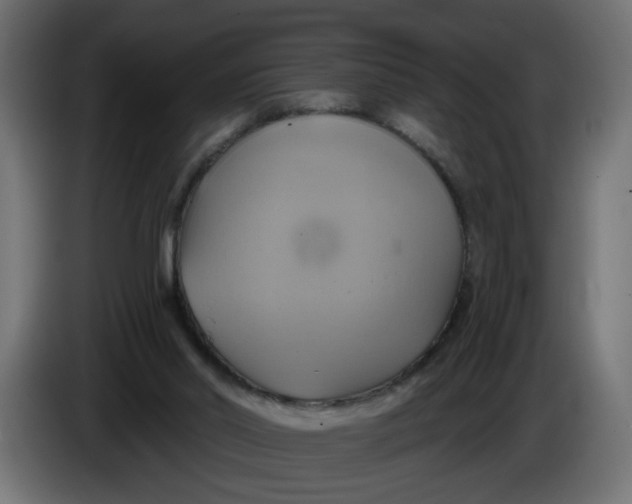 X0000086020014200704131900