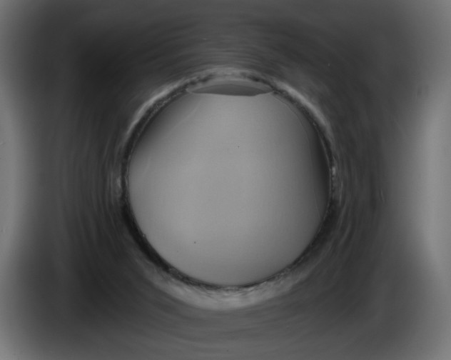 X0000086020015200704131900