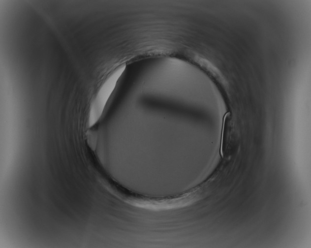 X0000086020017200704131900