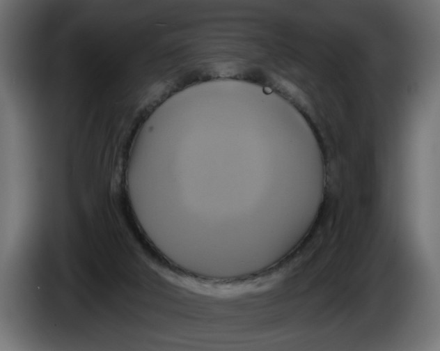 X0000086020018200704131900