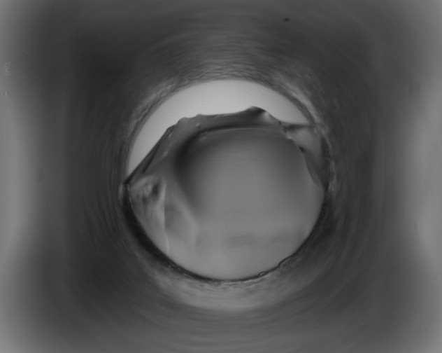 X0000086020019200704131900