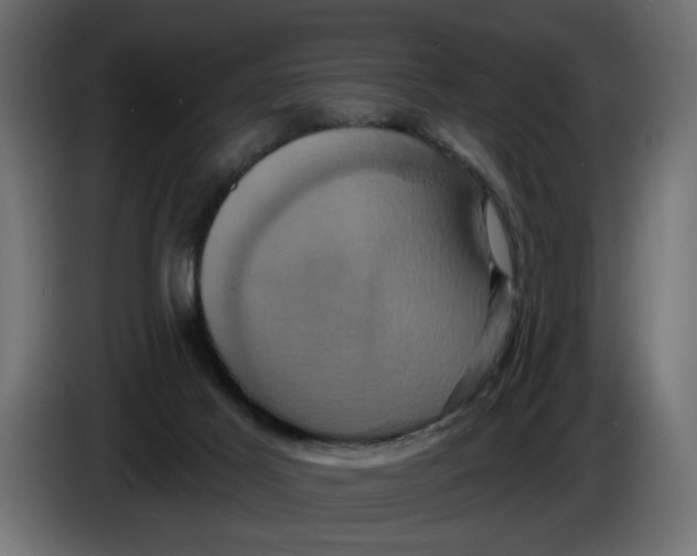 X0000086020021200704131900