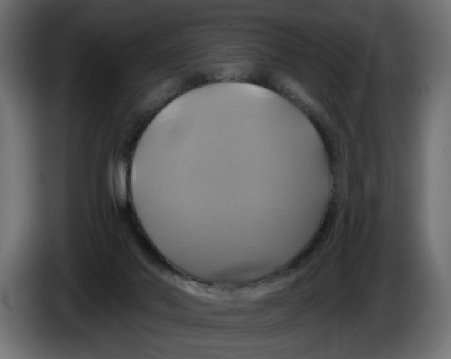 X0000086020022200704131900