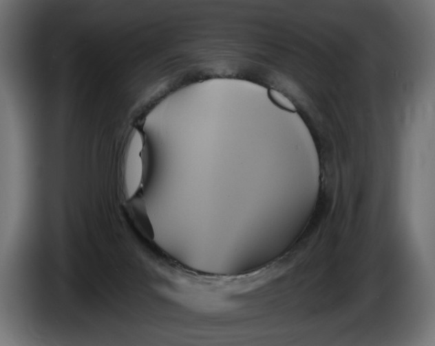 X0000086020023200704131900