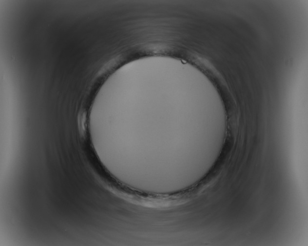 X0000086020024200704131900