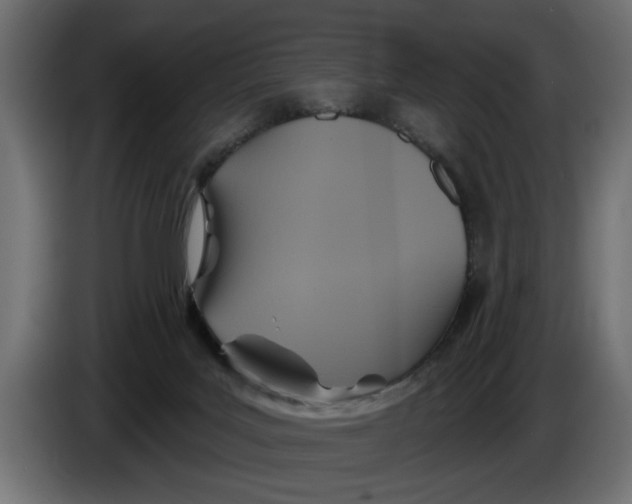 X0000086020027200704131900
