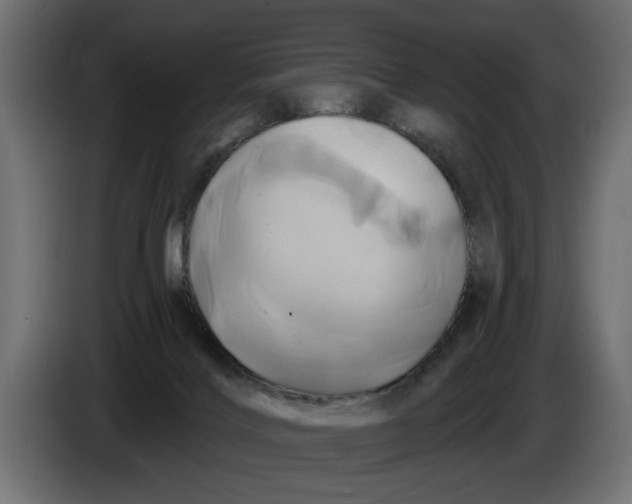 X0000086020028200704131900