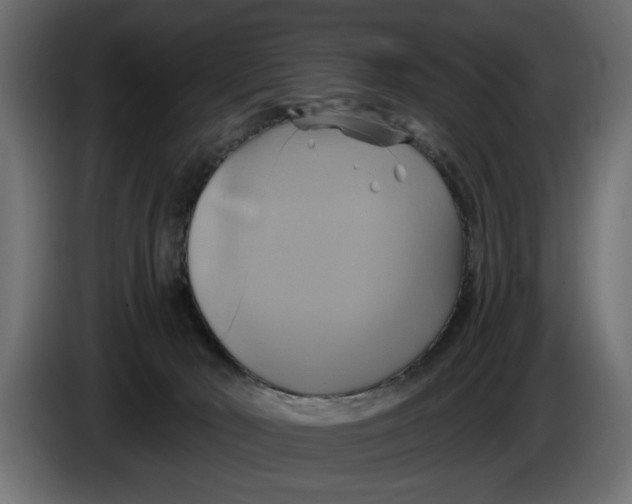 X0000086020030200704131900